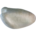 Palmtaube oder Senegaltaube