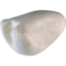 Palmtaube oder Senegaltaube (Spilopelia senegalensis)