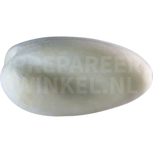 Tureluur (Tringa totanus)