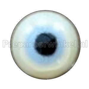 Kleiner Soldatenara (Ara militaris)