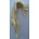 Eichhörnchen (Art. ELS-256)