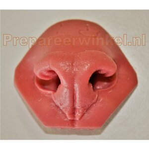 Artificial nose for a Cougar