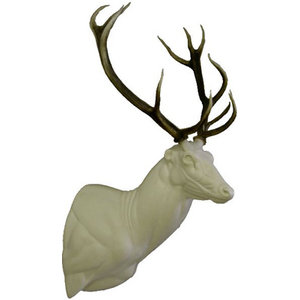 Edelhert (Cervus elaphus)