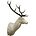 Red Deer - Scottisch (Art. RHS1-G)