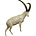 Alpine ibex (Art. G-AST7-R)