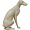 Rotfuchs (Vulpes vulpes)