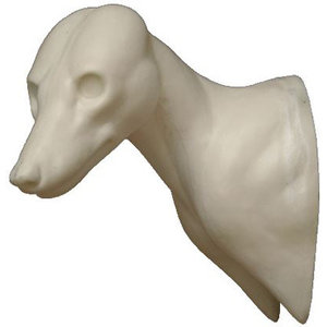 Rotfuchs (Vulpes vulpes)