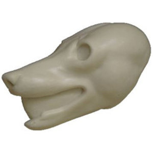 Rotfuchs (Vulpes vulpes)