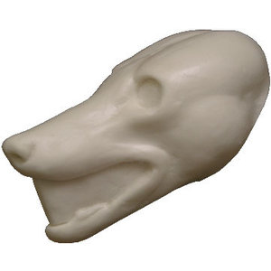 Rotfuchs (Vulpes vulpes)