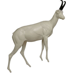 Gämse (Rupicapra rupicapra)