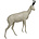 Chamois (Art. G-G8-x)