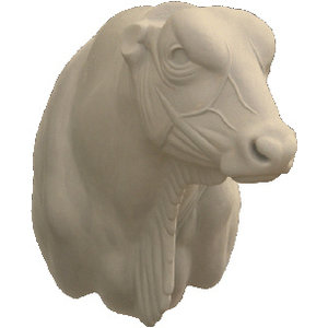 Hausrind (Bos primigenius taurus)