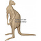 Kangaroo (Macropus rufus / giganteus)