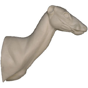 Wasserreh (Hydropotes inermis)