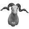 Domestic sheep (Ovis orientalis aries)
