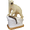 Eisbär (Ursus maritimus)