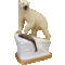 Polar bear (Ursus maritimus)