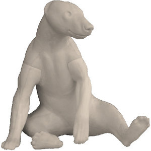 Schwarzbär (Ursus americanus)