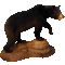 Black bear (Ursus americanus)