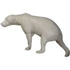 Braunbär (Art. SO-G-B6-L-x)