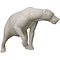 Brown bear (Ursus arctos)