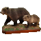 Brown bear (Ursus arctos)