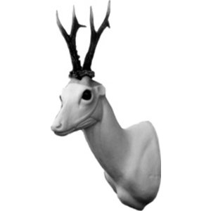 Reh (Capreolus capreolus)