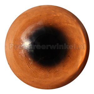 Orange brown single-coloured acrylic eyes