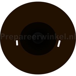 Prachteiderente (Somateria spectabilis)