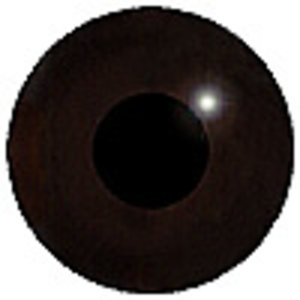 Schwarzstirnwürger (Lanius minor)