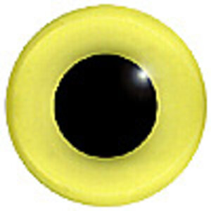 Steinkauz (Athene noctua)