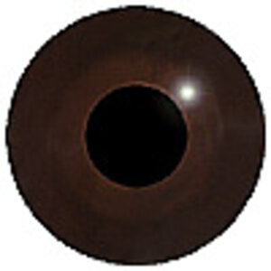 Schwarzkopfmöwe (Ichthyaetus melanocephalus / Larus melanocephalus)