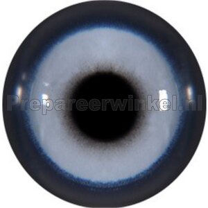 Andenfelsenhahn (Rupicola peruvianus / Rupicola peruviana)