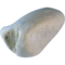 Waterroodstaart (Phoenicurus fuliginosus)