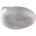 Eurasian crag martin