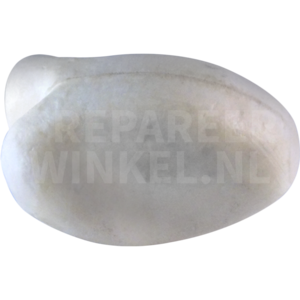 White wagtail (Motacilla alba)