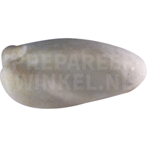 Zwergschneegans (Anser rossii)