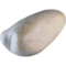 Zwergsäger (Mergellus albellus)