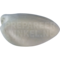 Europese kanarie (Serinus serinus)