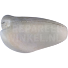 Grassittiche - Neophema