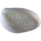 Prachtrosella (Platycercus eximius)