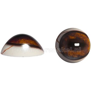 Red deer (Cervus elaphus)