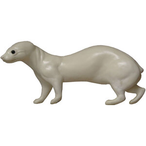 Bunzing (Mustela putorius)