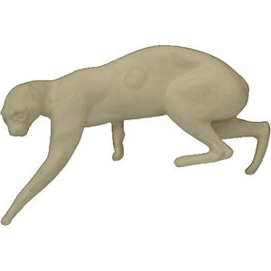 Wilde kat (Felis silvestris)
