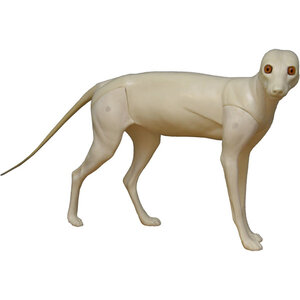 Rotfuchs (Vulpes vulpes)