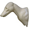Vos (Vulpes vulpes)