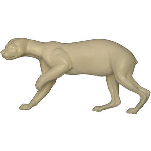 Veelvraat (Gulo gulo)