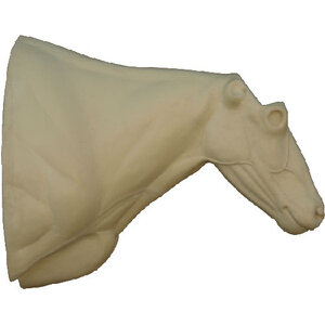 Schneeziege (Oreamnos americanus)