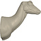 Ree (Capreolus capreolus)