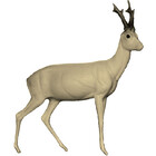 Roebuck(Art. G-R5-R)